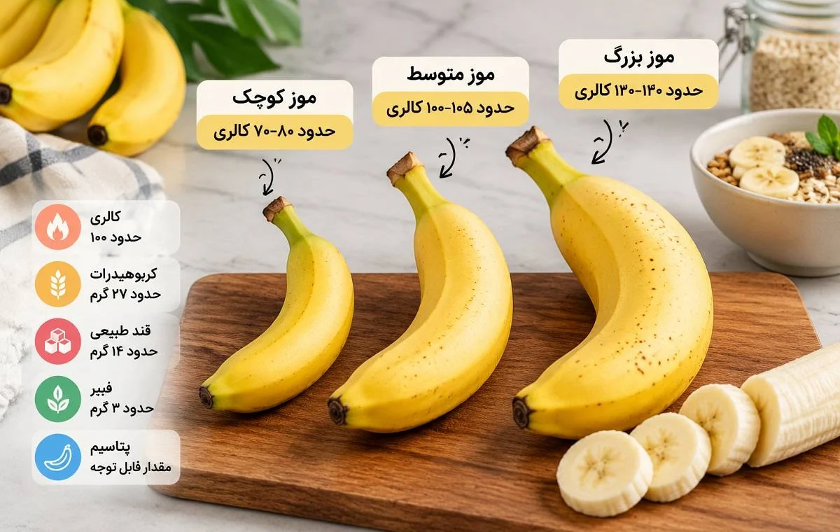 کالری یک عدد موز چقدر است؟ تفاوت موز کوچک، متوسط و بزرگ را بدانید